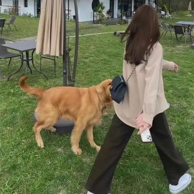 心动的信号第四季